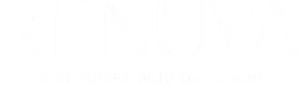 Renuva logo